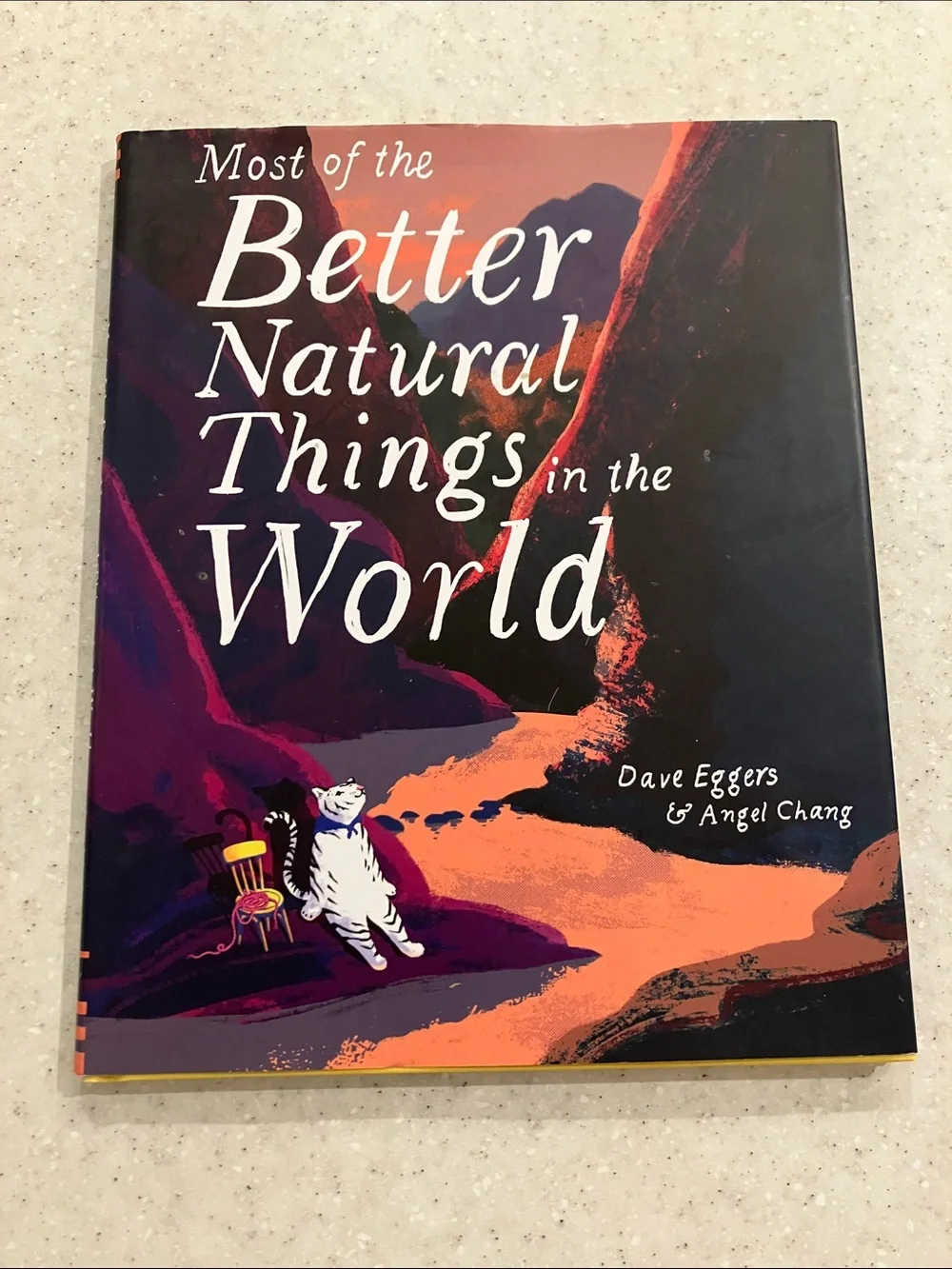 Most of the Better Natural Things in the World Hardcover Dave Eggers Angel Chang